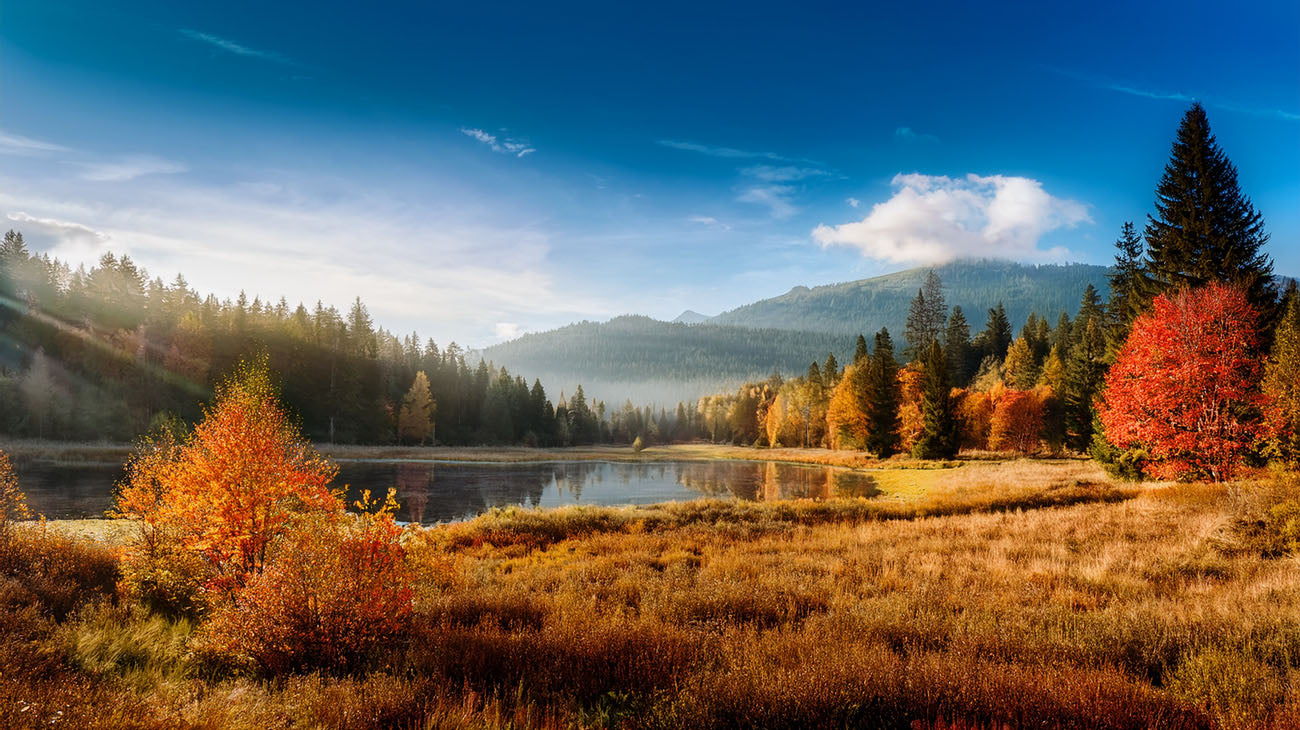 10 Unique September Themes to Enhance Workplace Productivity