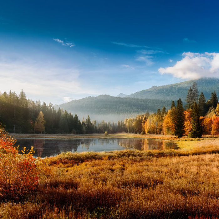 10 Unique September Themes to Enhance Workplace Productivity