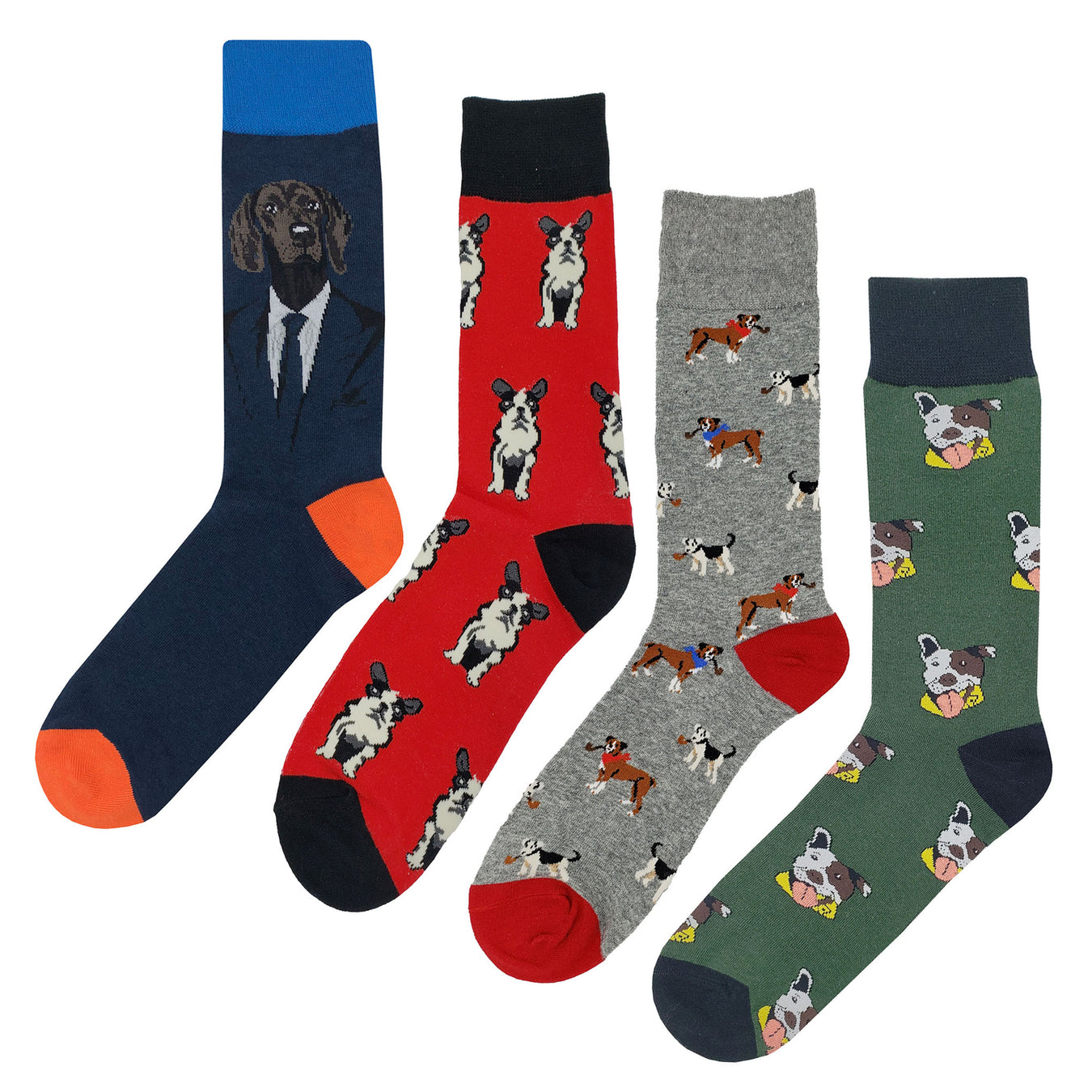 Dog & Cat Sock Collection