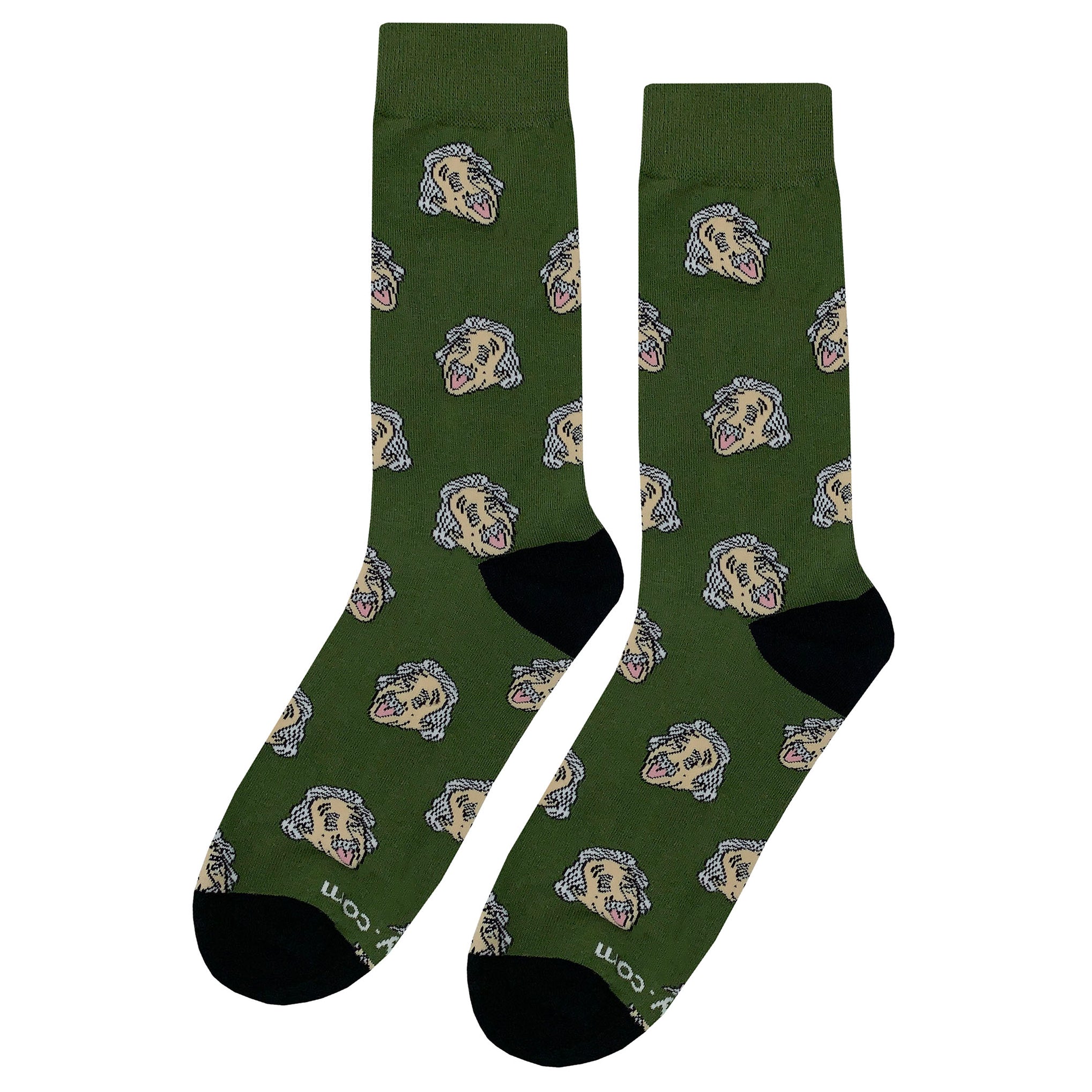 Einstein Socks - Fun and Crazy Socks at Sockfly.com