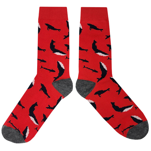 Humpback Whale Socks Sockfly 2