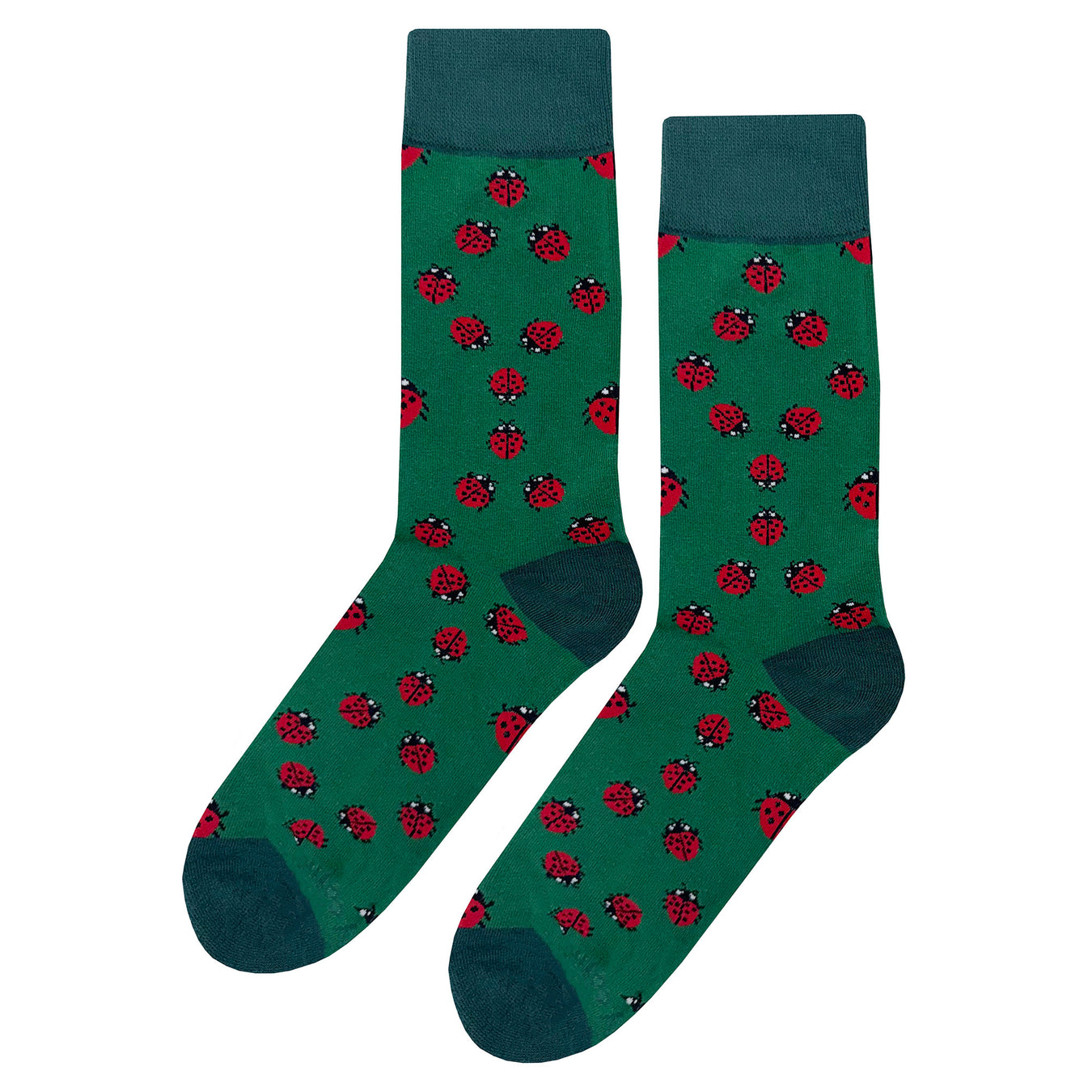 Insect Sock Collection