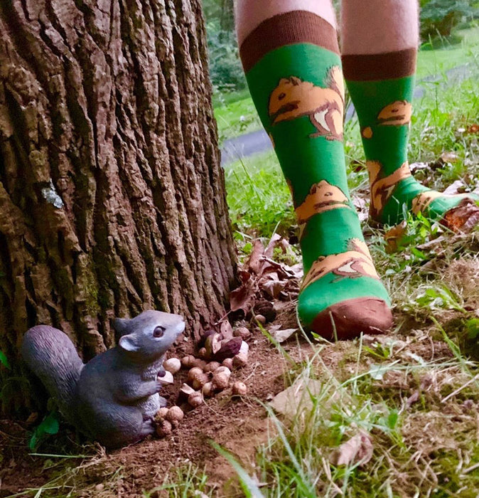 Squirrel Nut socks looking for nuts